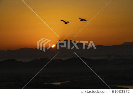 Winter morning 61083572