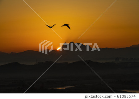 Winter morning 61083574