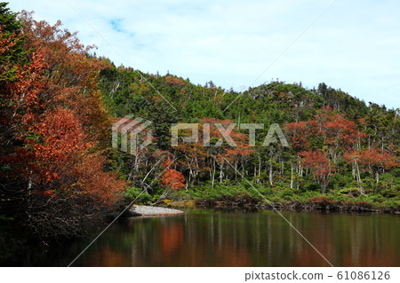 Kita Yatsugatake of autumn leaves Nanatsu Pond 61086126