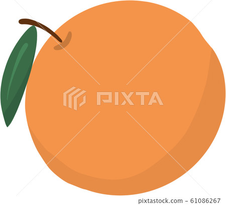 大吉大利 橘子 中國新年 61086267