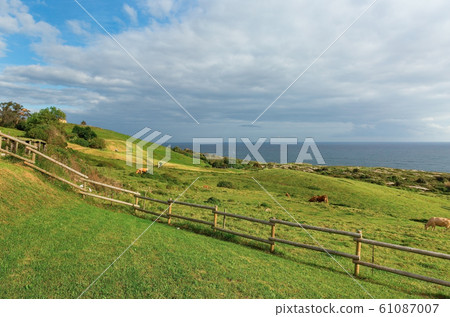Meadows on the coast of the Bay of Biscay 61087007