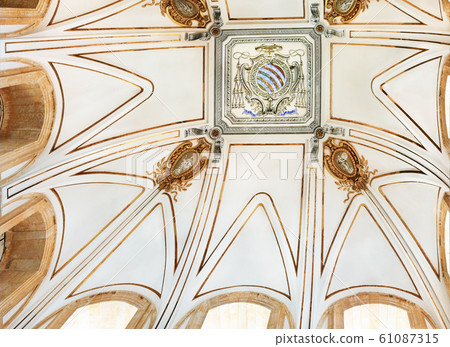 ornament on the ceiling in University ornament on the ceiling in University 61087315