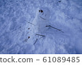 Snowman 61089485
