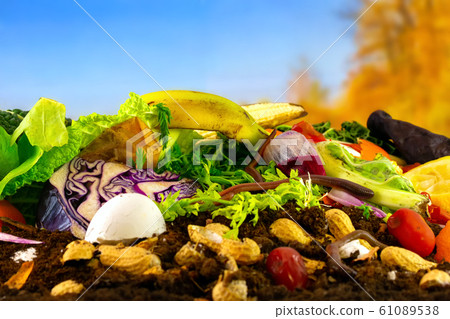 A compost heap consisting of rotting kitchen vegetables, eggshells and teabags is decomposed by lumbricus terrestris earthworms A compost heap consisting of rotting kitchen vegetables, eggshells and teabags is decomposed by lumbricus terrestris earthworms 61089538