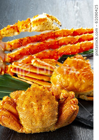 日本美味的三文魚菜餚 日本美味的三文魚菜餚 61090425