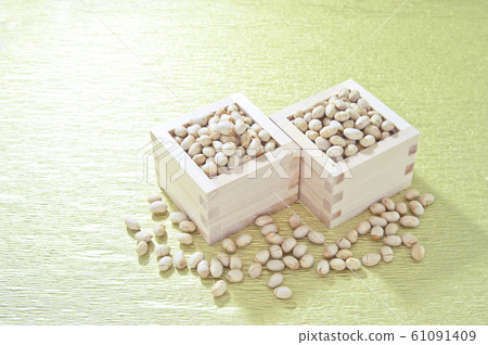 Soybeans in a basin 61091409