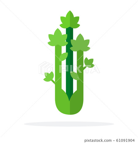 Variety of broccoli and asparagus vector flat material design object. Variety of broccoli and asparagus vector flat material design object. 61091904