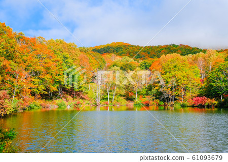 Autumn leaves at Myoko / Sennin Pond 61093679