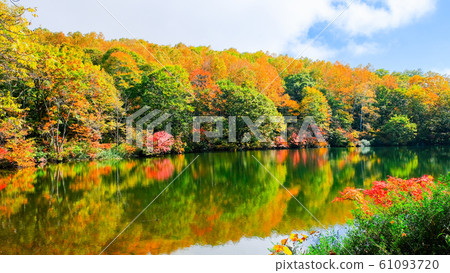 Myoko / Sennin Pond的秋葉 Myoko / Sennin Pond的秋葉 61093720