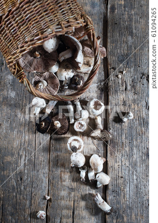 fresh champignon mushrooms on wooden rustic table fresh champignon mushrooms on wooden rustic table 61094265