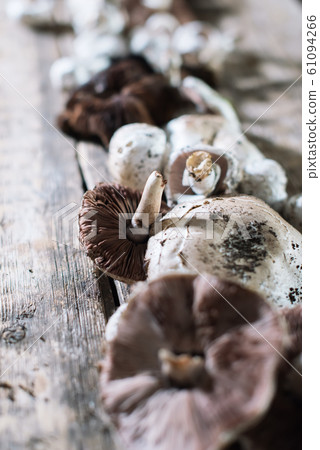 Edible fresh champignon mushrooms on wooden table 61094266