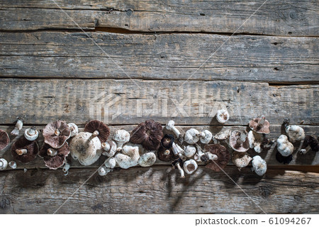 fresh champignon mushrooms on wooden rustic table fresh champignon mushrooms on wooden rustic table 61094267