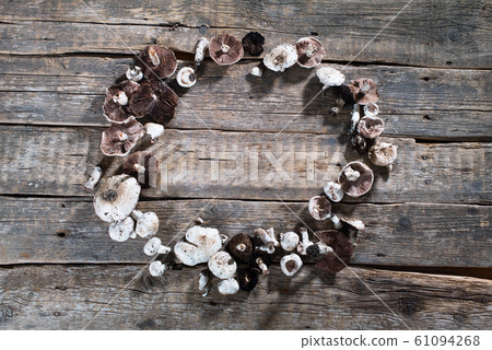 fresh champignon mushrooms on wooden rustic table fresh champignon mushrooms on wooden rustic table 61094268