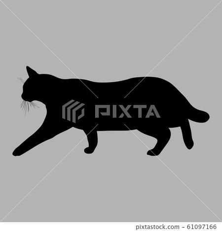 Cat silhouette. Vector illustration. Black cat on 61097166
