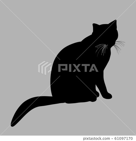 Cat silhouette. Vector illustration. Black cat on 61097170