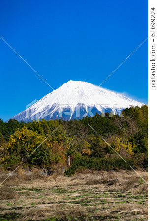 富士宮市的富士景觀<12月> 61099224