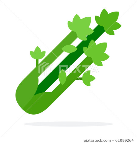 Romanesque Cabbage vector flat isolated 61099264