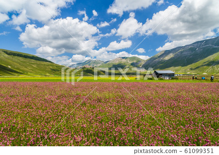 Piano Grande mountain plateau, Umbria, Italy Piano Grande mountain plateau, Umbria, Italy 61099351