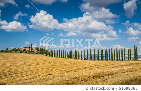 Tuscany landscape with traditional farm house and dramatic clouds in Val d'Orcia, Italy 61099363