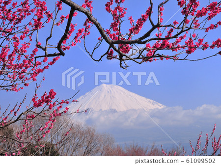 岩本山公園的風景223006 岩本山公園的風景223006 61099502