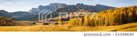 Alpe di Siusi at sunrise, Dolomites, South Tyrol, Italy Alpe di Siusi at sunrise, Dolomites, South Tyrol, Italy 61099640