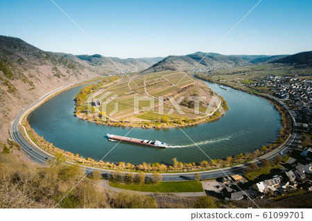 Moselle river bend with the historic town of Bremm in springtime 61099701