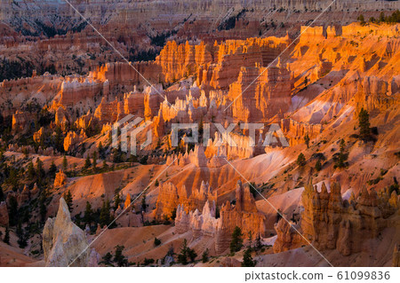 Bryce Canyon National Park from Sunrise Point, Utah, USA 61099836