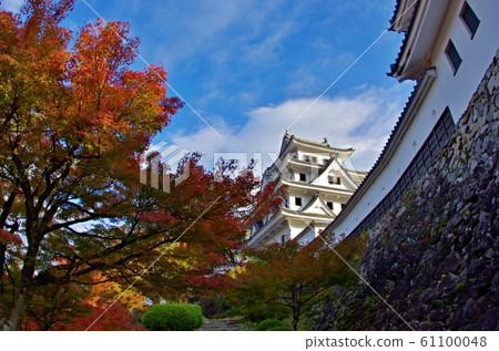 郡上市八man城楓樹節日風景 61100048