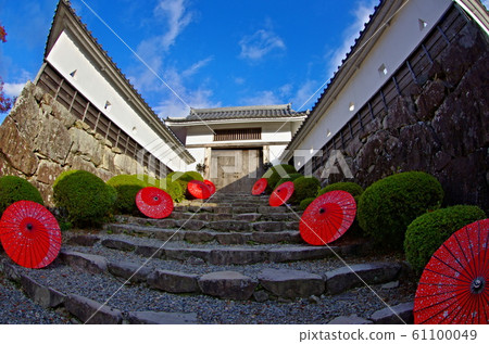 郡上市八man城楓樹節日風景 61100049