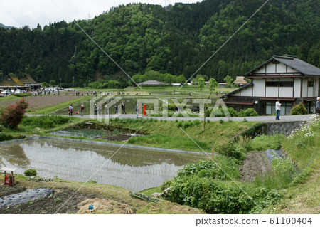 京都三山春季四季漫步 京都三山春季四季漫步 61100404