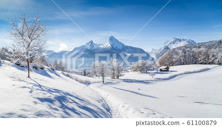 Beautiful winter scenery with trees and mountain peaks on a sunny day Beautiful winter scenery with trees and mountain peaks on a sunny day 61100879