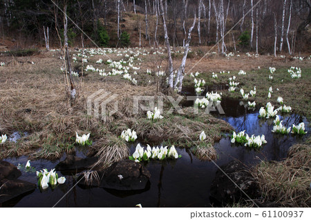 Water Basho Water Basho 61100937