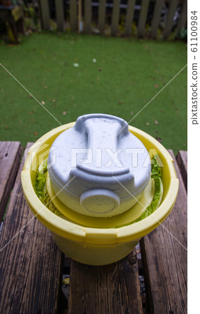 Chinese cabbage pickles-homemade 61100984