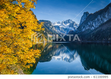 Autumn scenery with Dachstein mountain reflecting in Gosausee lake in fall, Salzkammergut, Austria Autumn scenery with Dachstein mountain reflecting in Gosausee lake in fall, Salzkammergut, Austria 61100995