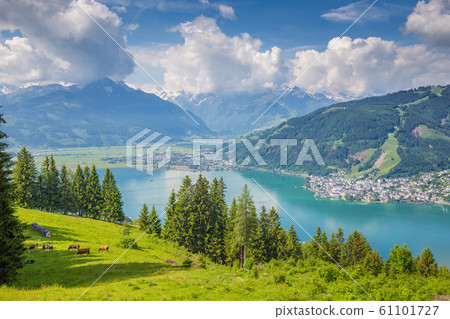 Zell am See, Salzburger Land, Austria 61101727
