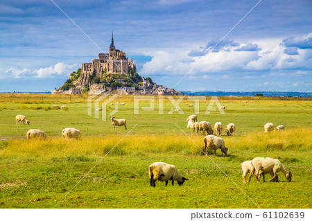 Le Mont Saint-Michel with sheep grazing on green meadows, Normandy, France Le Mont Saint-Michel with sheep grazing on green meadows, Normandy, France 61102639