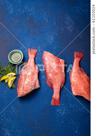 Fresh red sea bass on blue background. Top view, copy space 61103024