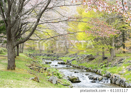 Atsutagawa River Suzuran Hill Park 61103117