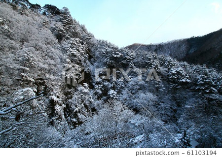 Morning in the snow scene, Heike's hidden village [Yunishikawa Onsen] 61103194