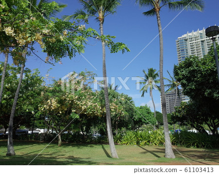 Park _ Waikiki 61103413