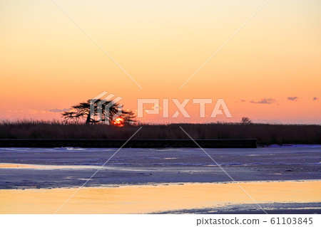 本別海一本松“ Betsukaicho” 61103845