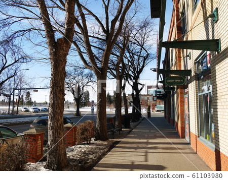 溫特懷特大街和艾伯塔大學 61103980