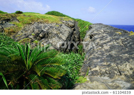 與那國新聞 與那國新聞 61104839