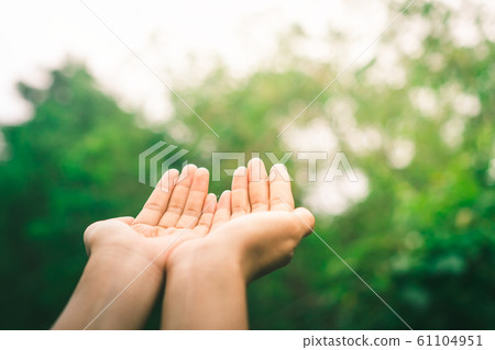 Woman hands place together like praying in front Woman hands place together like praying in front 61104951
