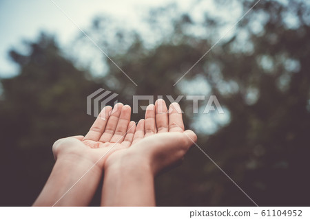 Woman hands place together like praying in front Woman hands place together like praying in front 61104952