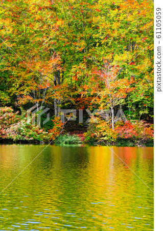 Myoko / Sennin Pond的秋葉 Myoko / Sennin Pond的秋葉 61105059