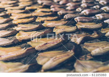 Food preservation of fish make it dried by sun Food preservation of fish make it dried by sun 61105060