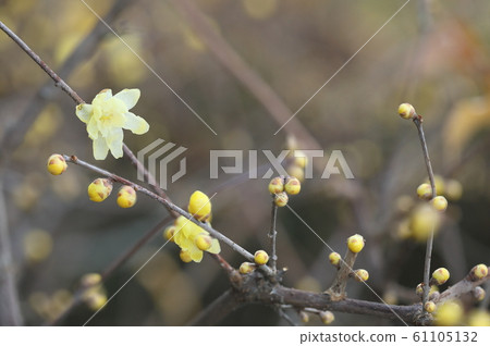 鮮味山坡公園 61105132