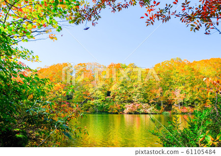 Myoko / Sennin Pond的秋葉 61105484