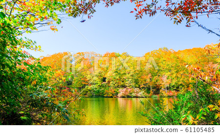 Autumn leaves at Myoko / Sennin Pond Autumn leaves at Myoko / Sennin Pond 61105485